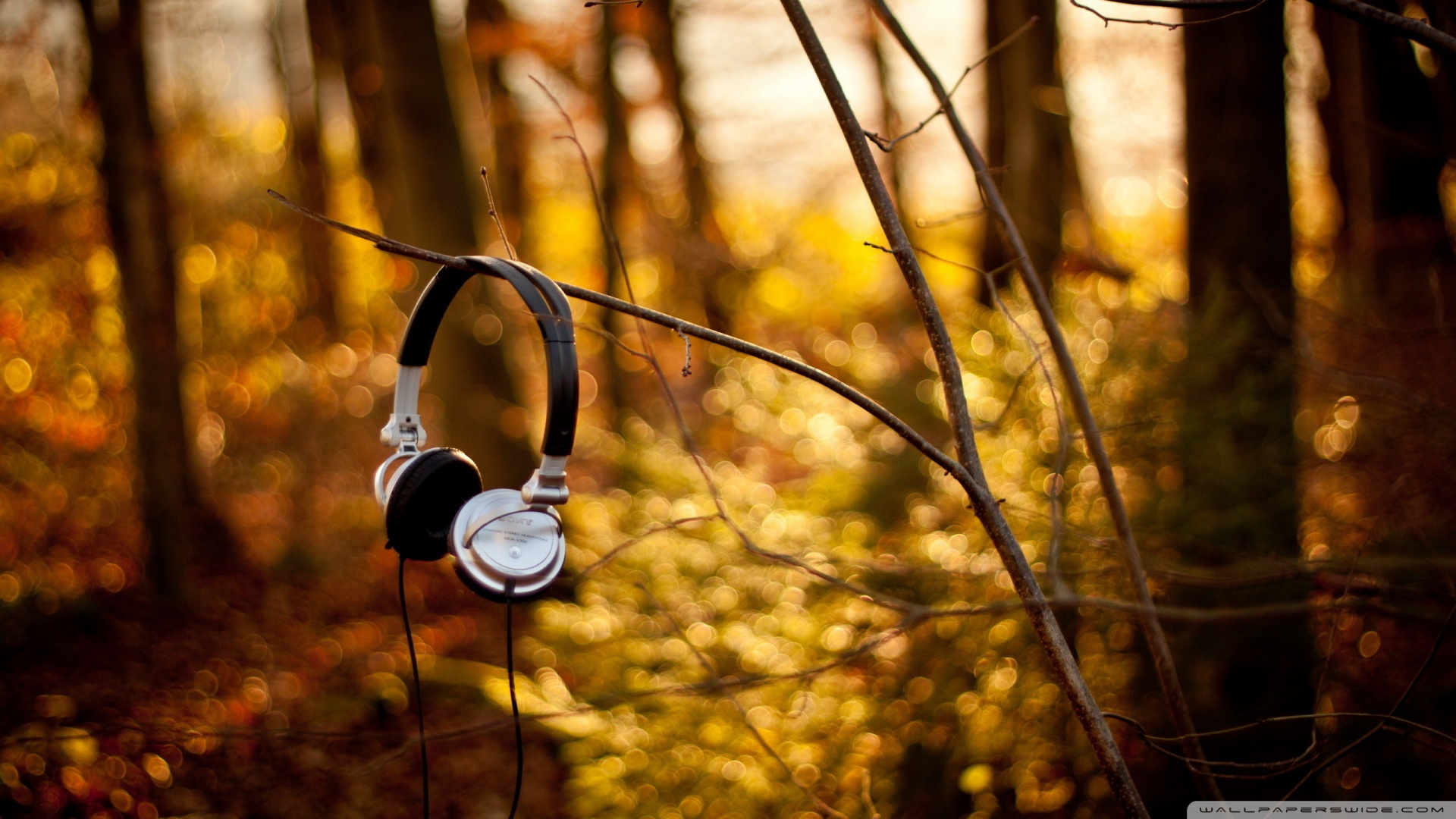 Sony Headphone - HD Wallpaper 