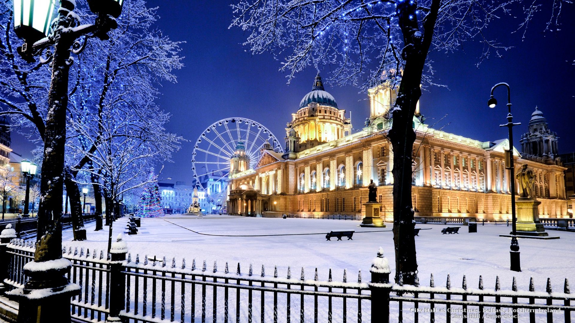 Winter Decoration Hd Background Wallpaper - Belfast City Hall At Christmas - HD Wallpaper 