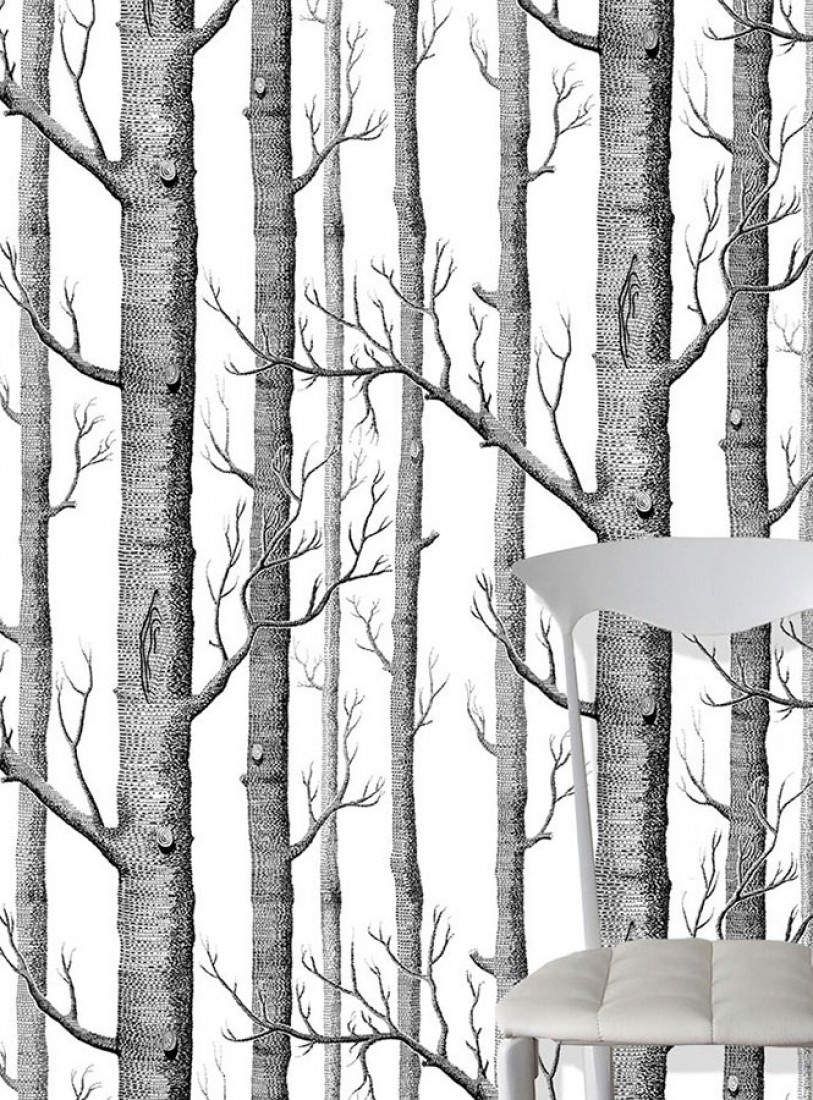 Black And White Birch Tree - 813x1100 Wallpaper - teahub.io