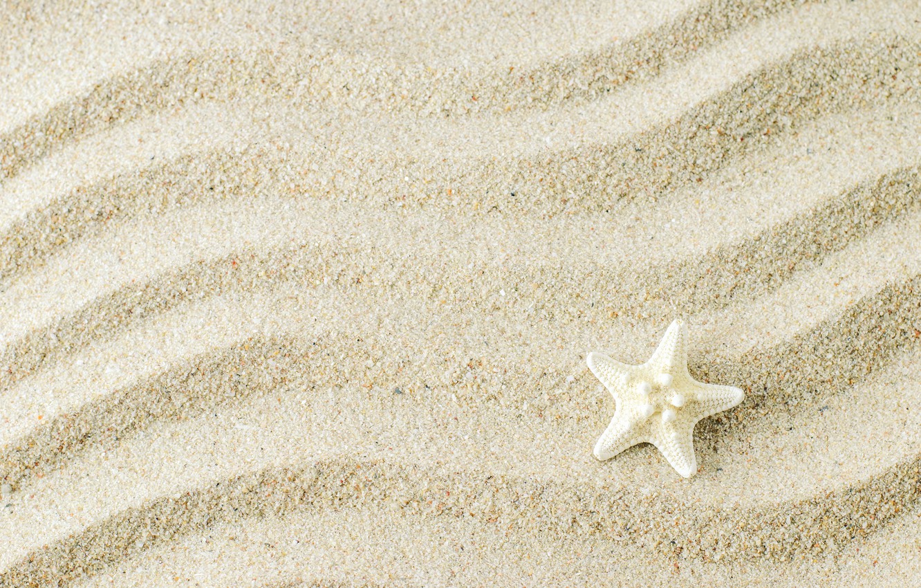 Photo Wallpaper Sand Background Starfish Beach Sand 1332x850 Wallpaper Teahub Io