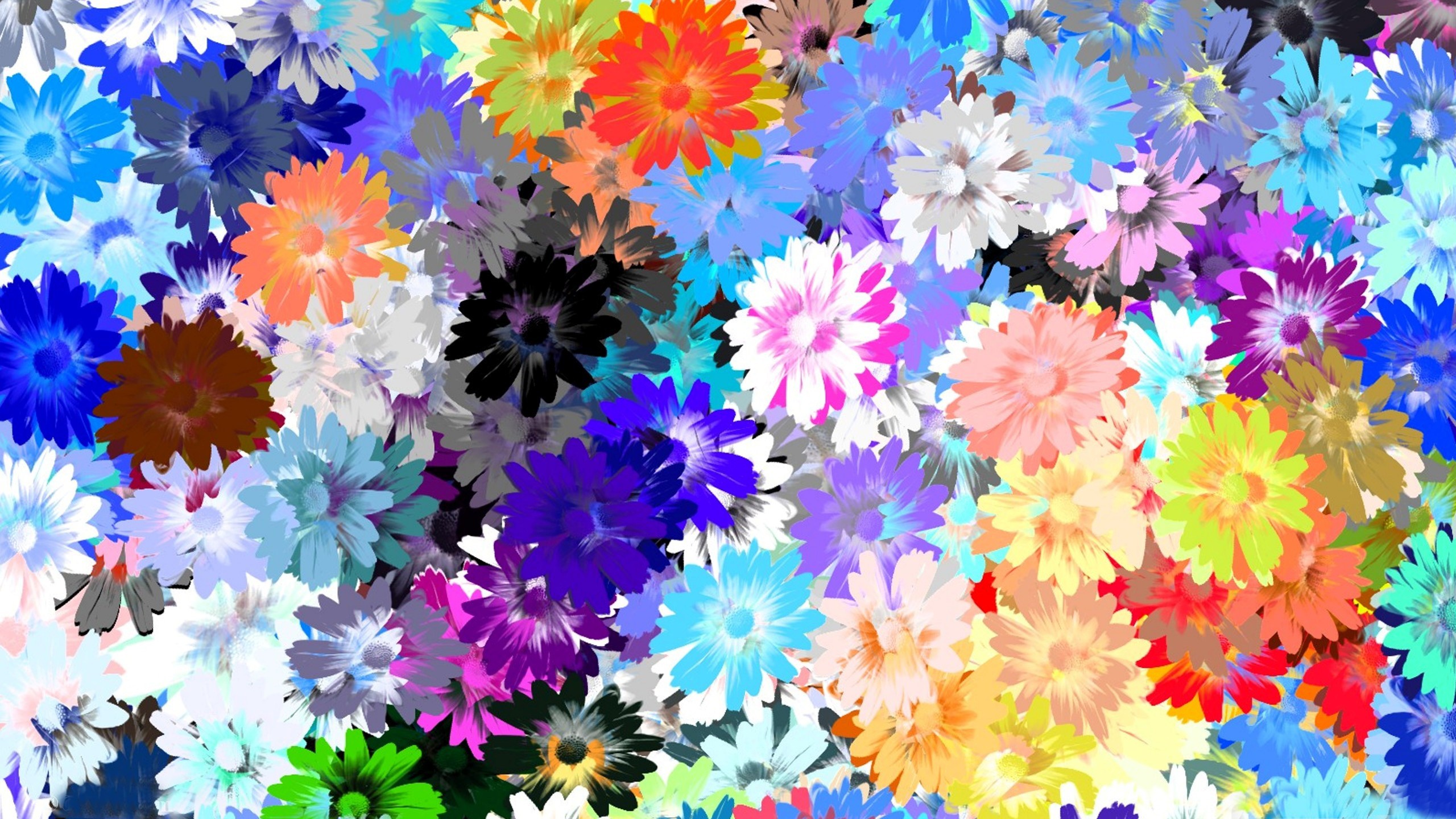 Flower Drawing Wallpaper Hd - 2560x1440 Wallpaper - teahub.io