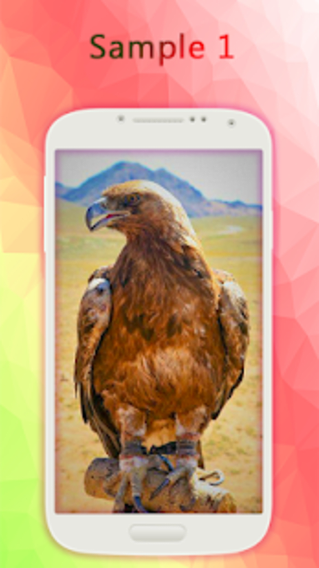 Vogels Mongolië - HD Wallpaper 