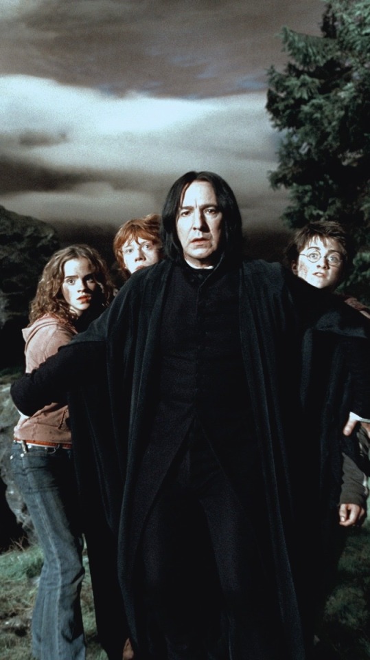 Image - Severus Snape Protecting Harry Ron And Hermione - HD Wallpaper 