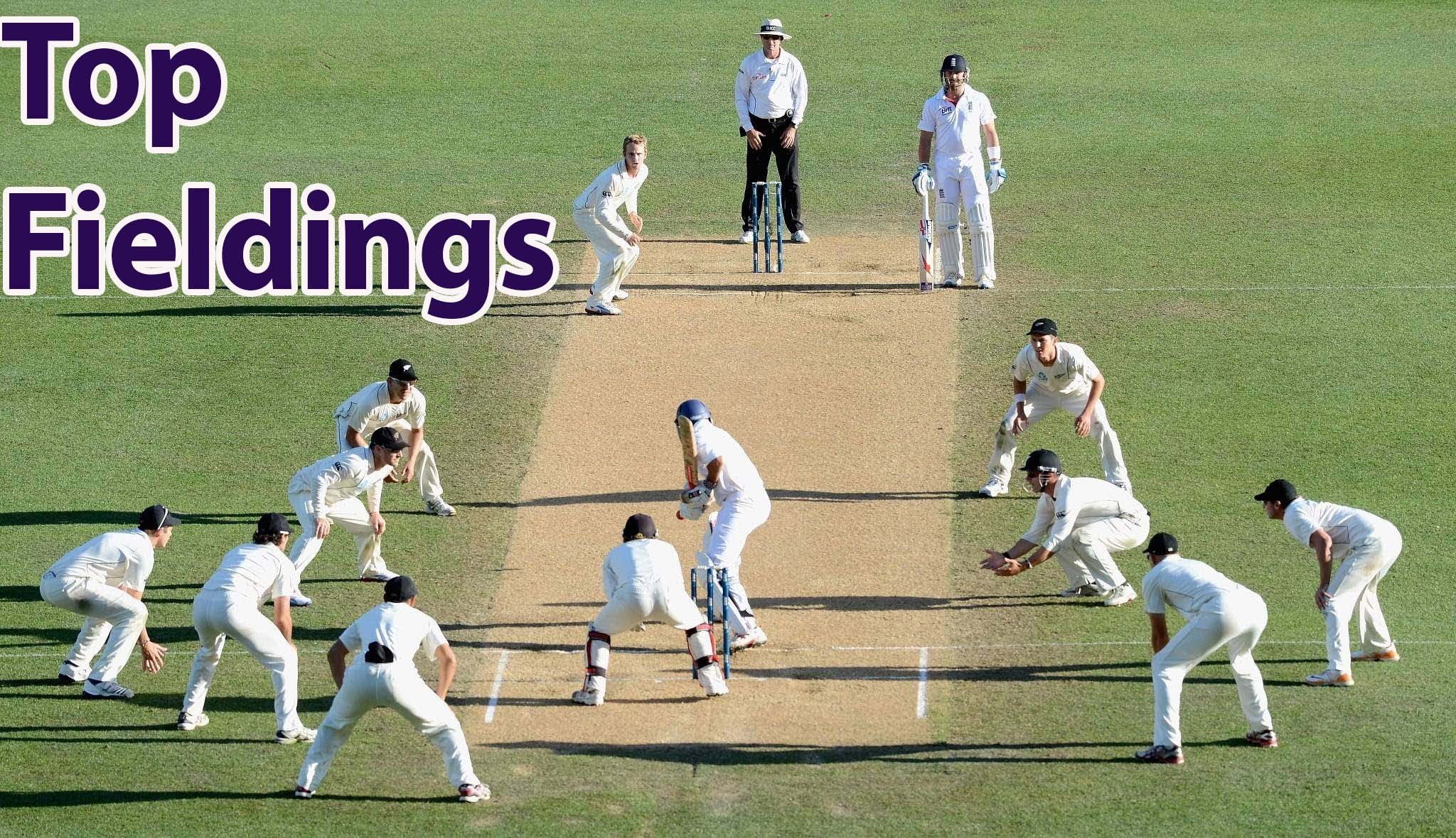 hd-quality-wallpaper-funny-cricket-fielding-positions-2048x1180