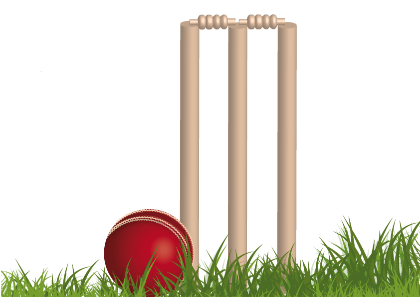 Cricket Png - Background Cricket Images Png - 842x595 Wallpaper 