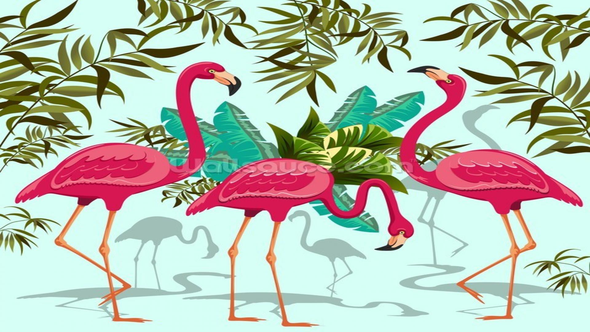 Flamingo Desktop Wallpaper - HD Wallpaper 