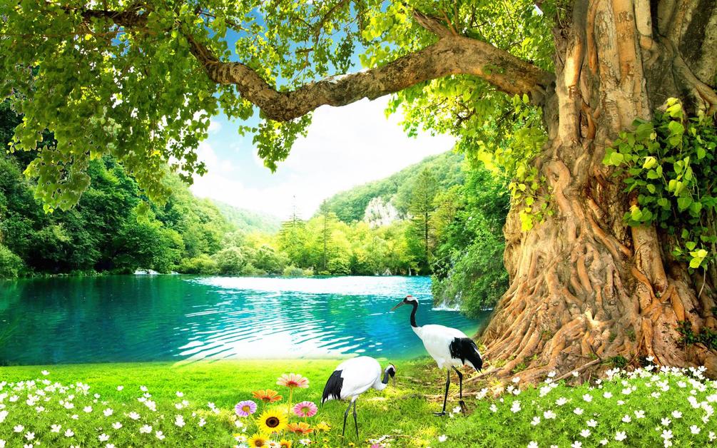 Wall Mural Natural Landscape, Nature And Green - Outdoor Background For ...