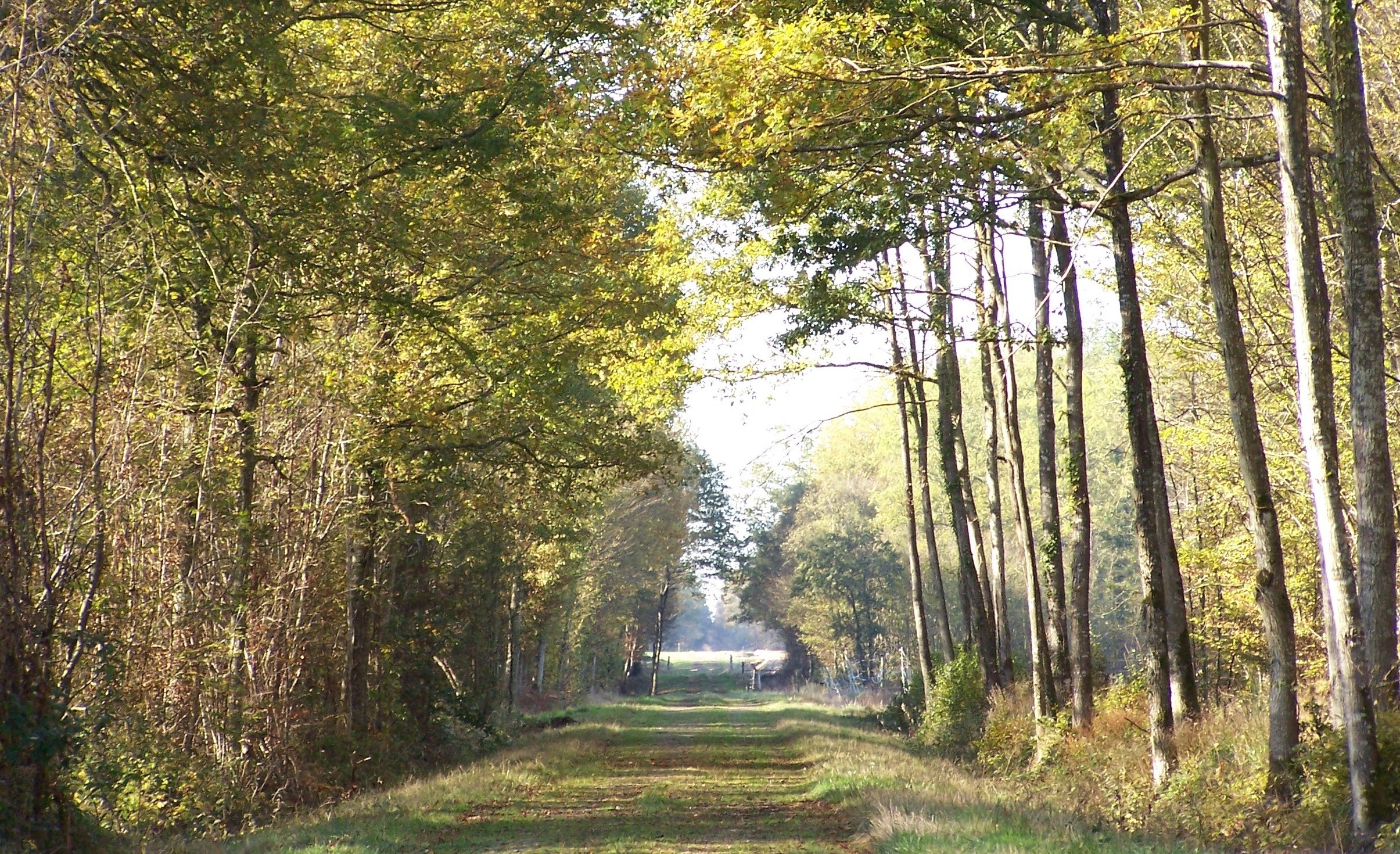 Fond D Écran Hd Le Chemin - HD Wallpaper 