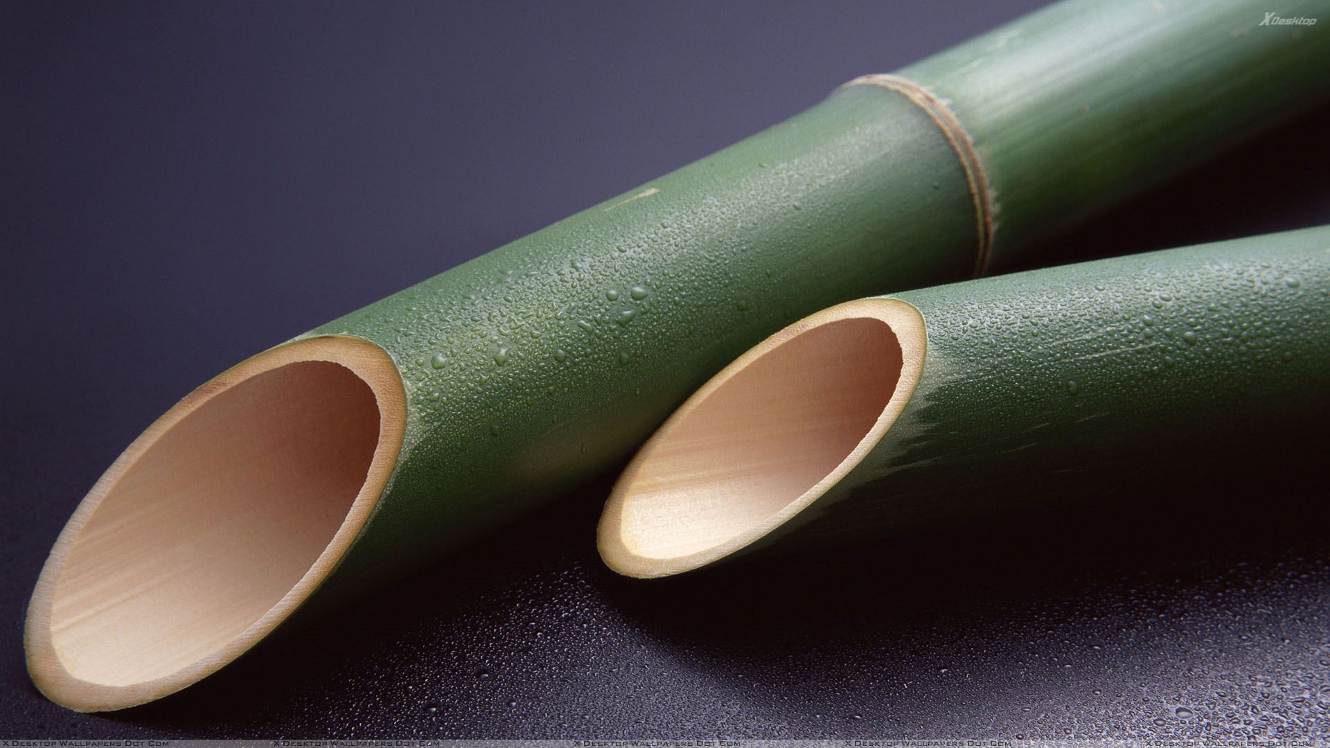 Green Bamboo Sticks - 1920x1080 Wallpaper - teahub.io