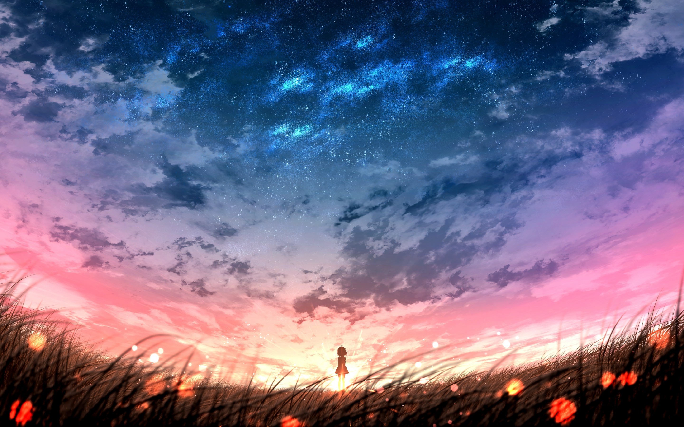 Anime Landscape, Sunset, Plants, Field, Sky, Anime - Red Sky Wallpaper