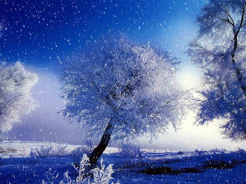 Frozen Winter Scene Wallpaper - Vivaldi's Winter - HD Wallpaper 