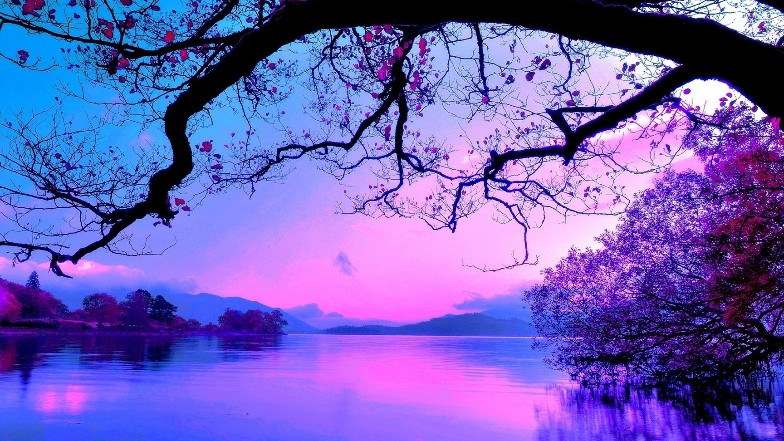 blue-and-purple-sunset-2560x1440-wallpaper-teahub-io