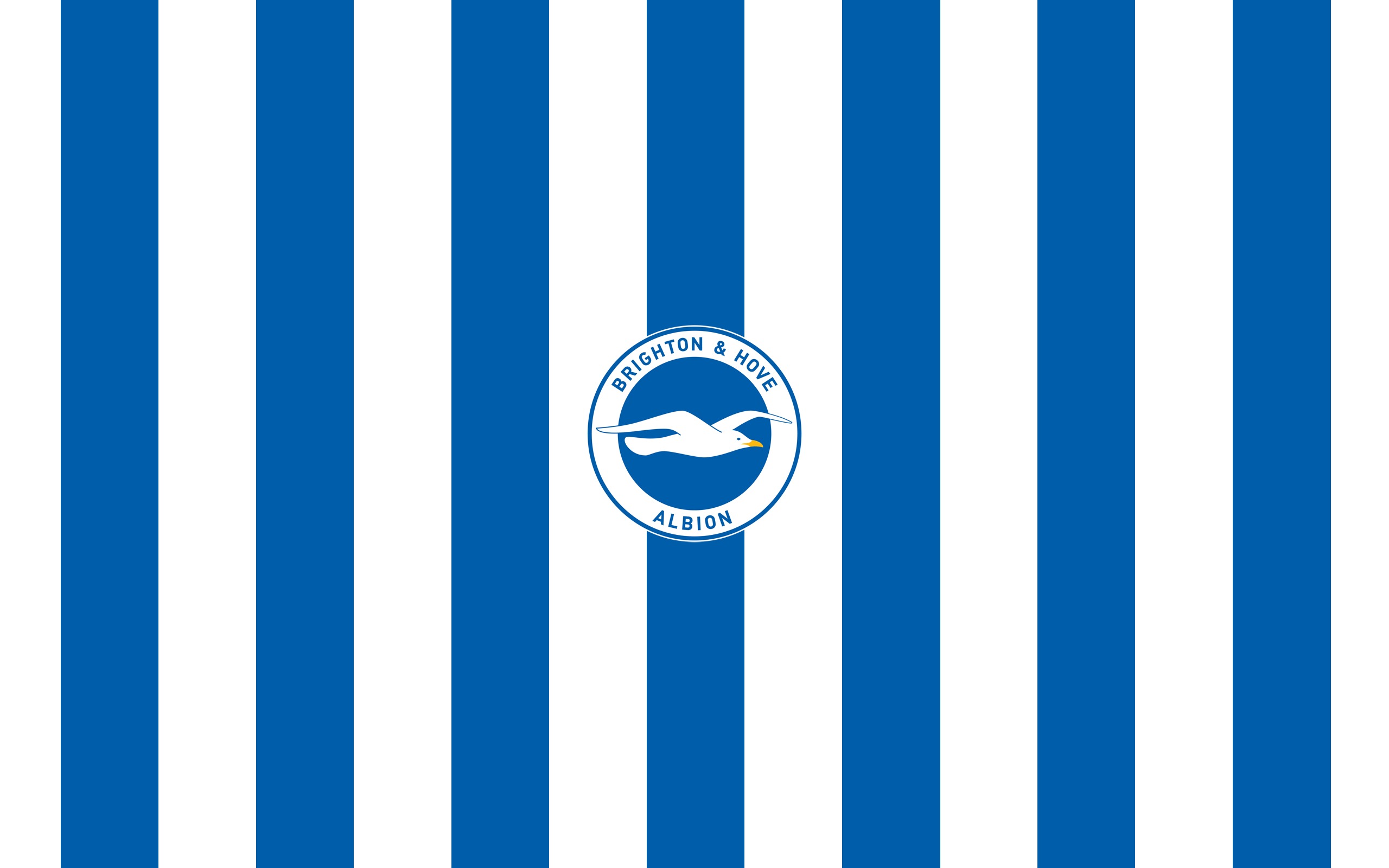 Брайтон энд хоув альбион. Брайтон футбольный клуб. Брайтон ФК лого. Brighton hove Albion FC.