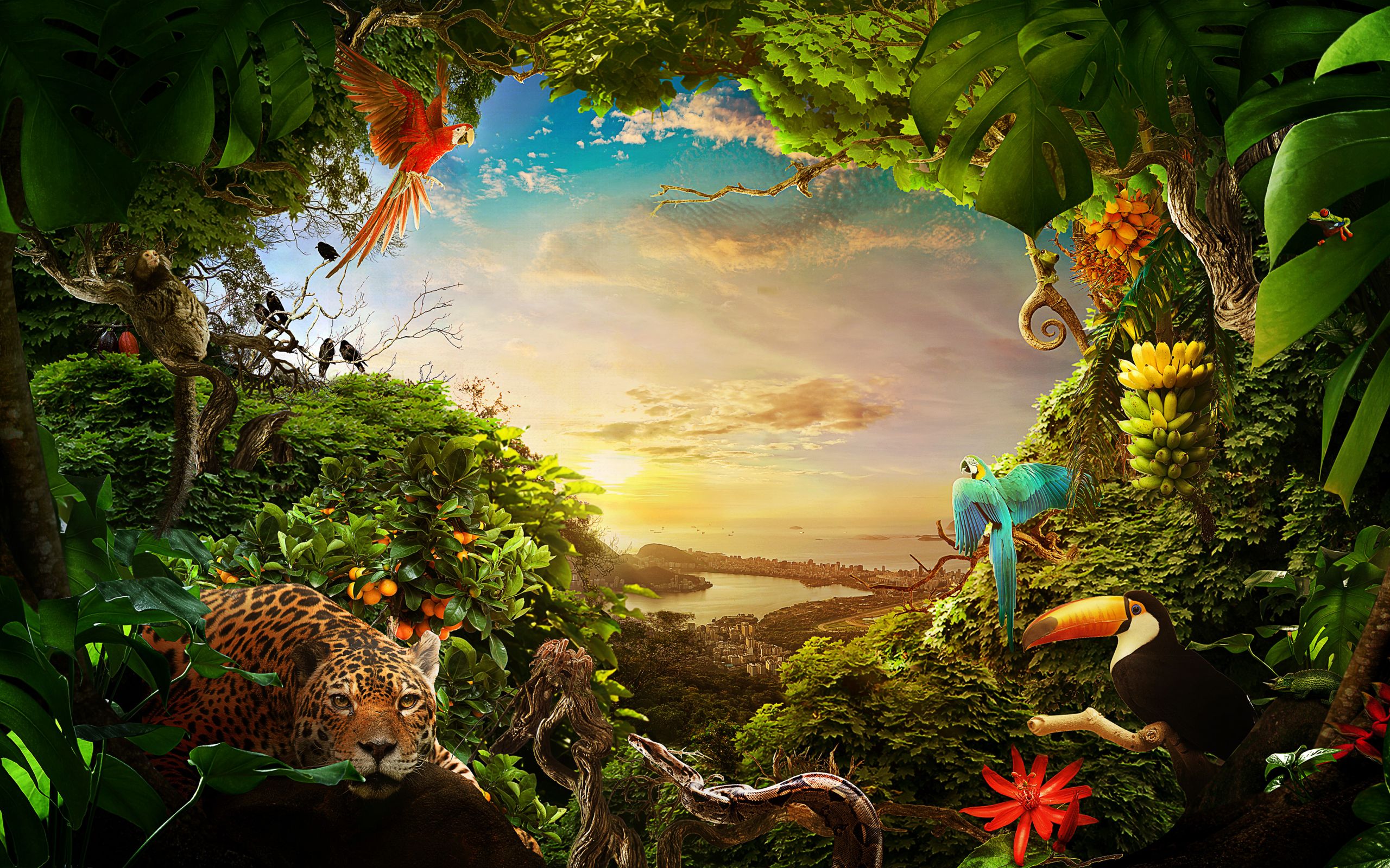væv kupon beløb Nature With Animals And Birds - 2560x1600 Wallpaper - teahub.io