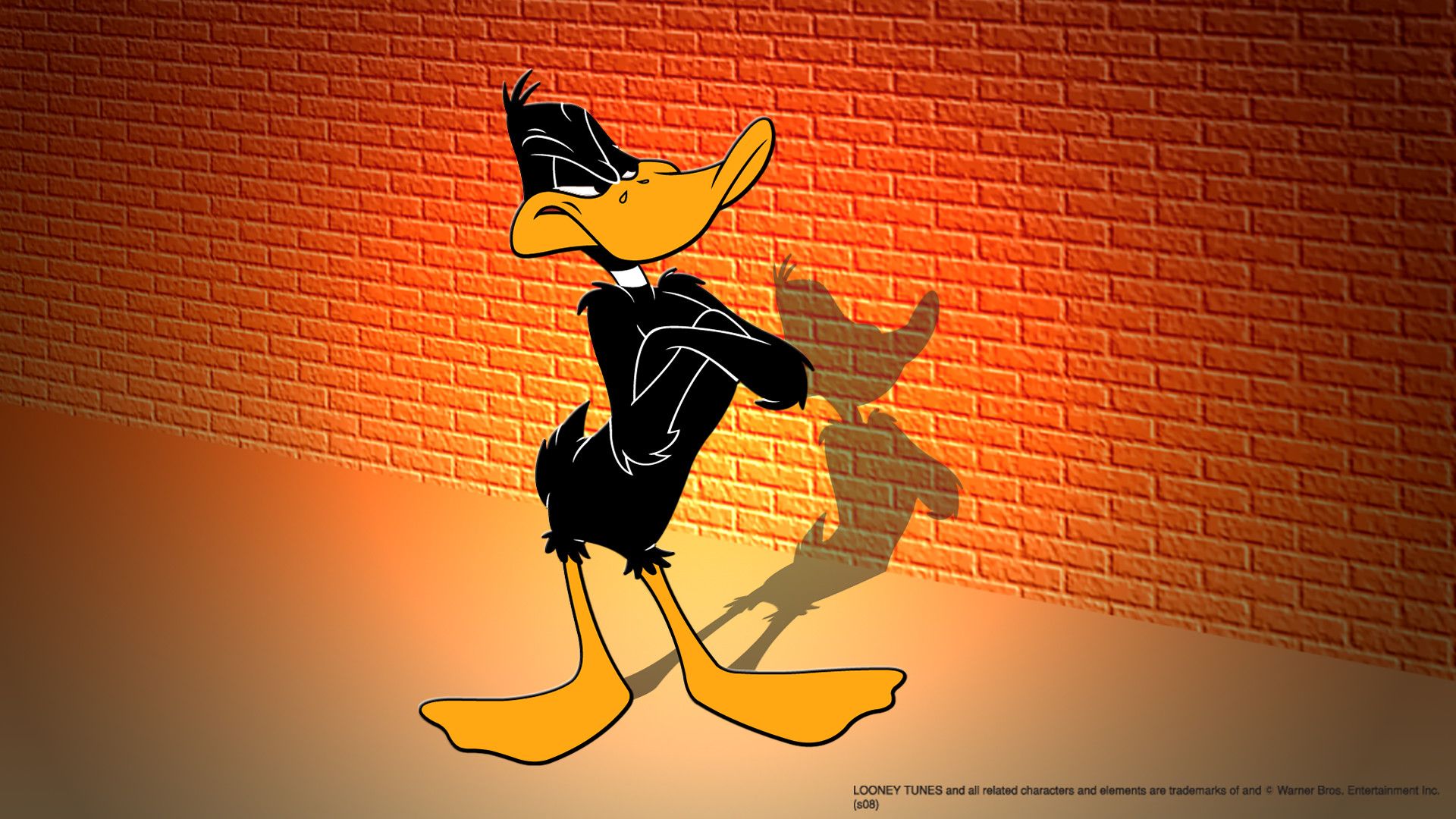 Daffy Duck 1920x1080 Wallpaper