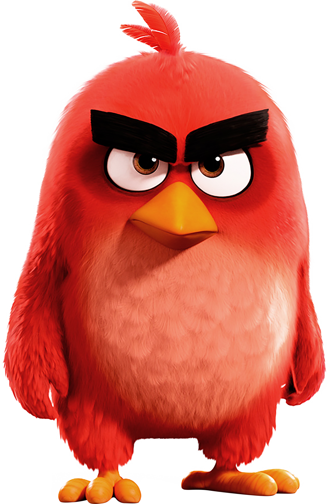 the-angry-birds-movie-red-angry-birds-pelicula-1080x1648-wallpaper