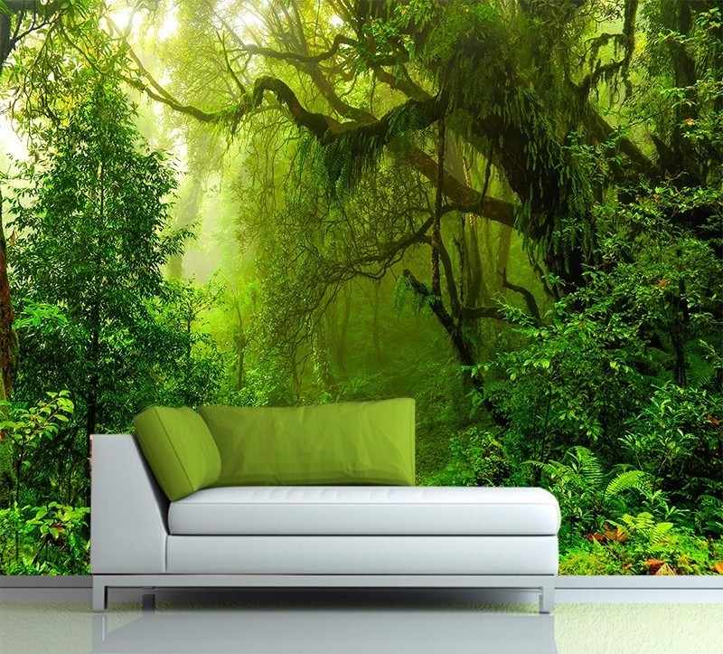 Tree Jungle Wallpaper Hd - 800x723 Wallpaper - teahub.io