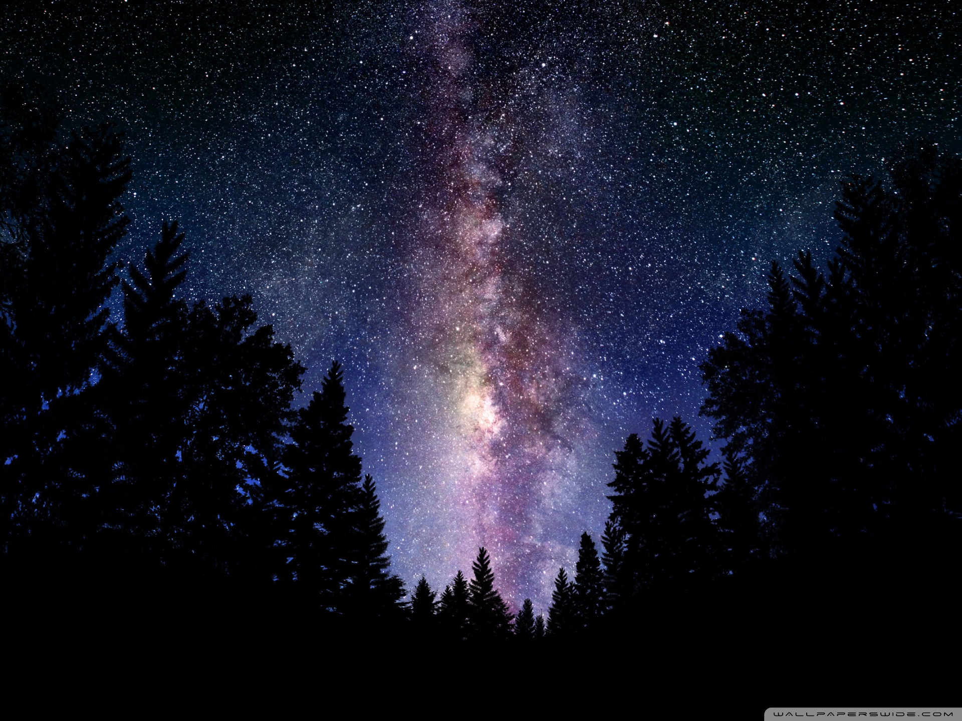 Milky Way Through Trees - HD Wallpaper 