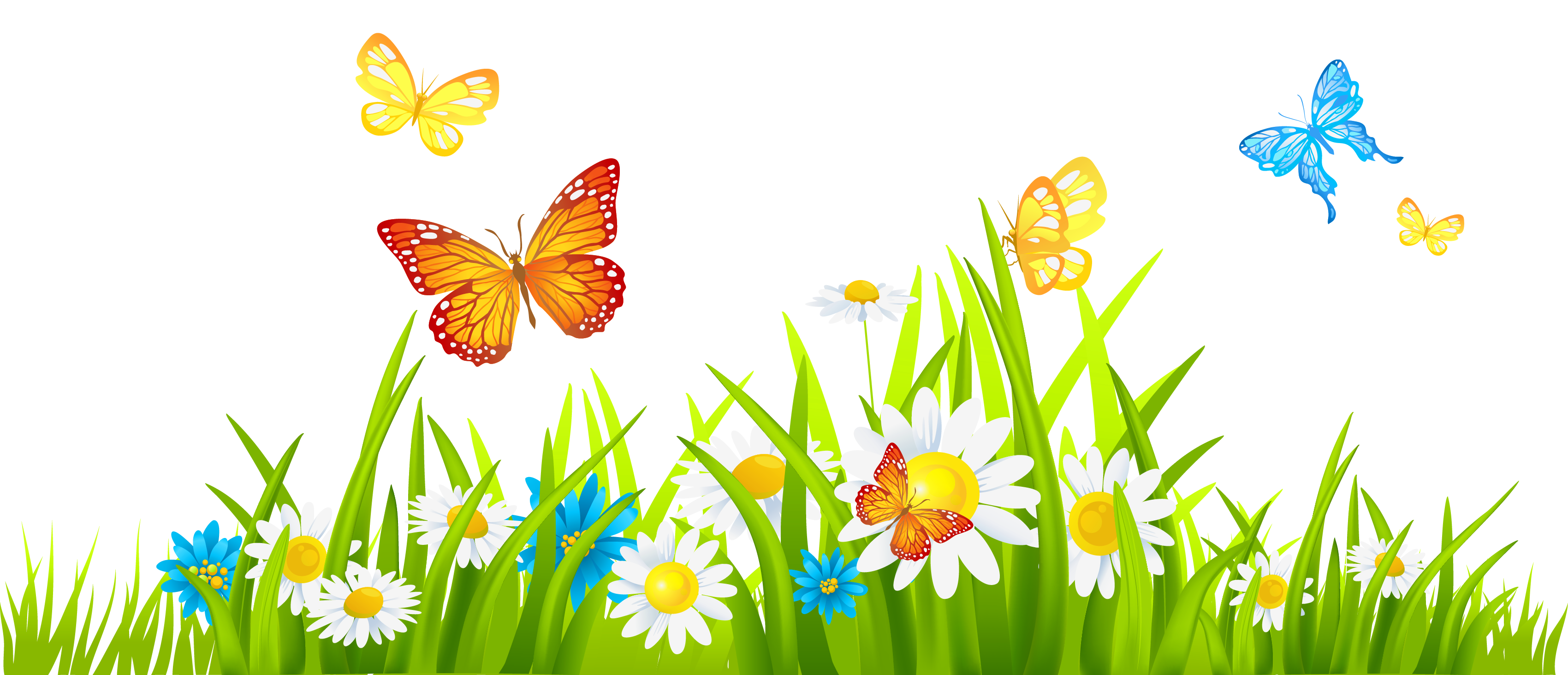Garden Png Images Hd