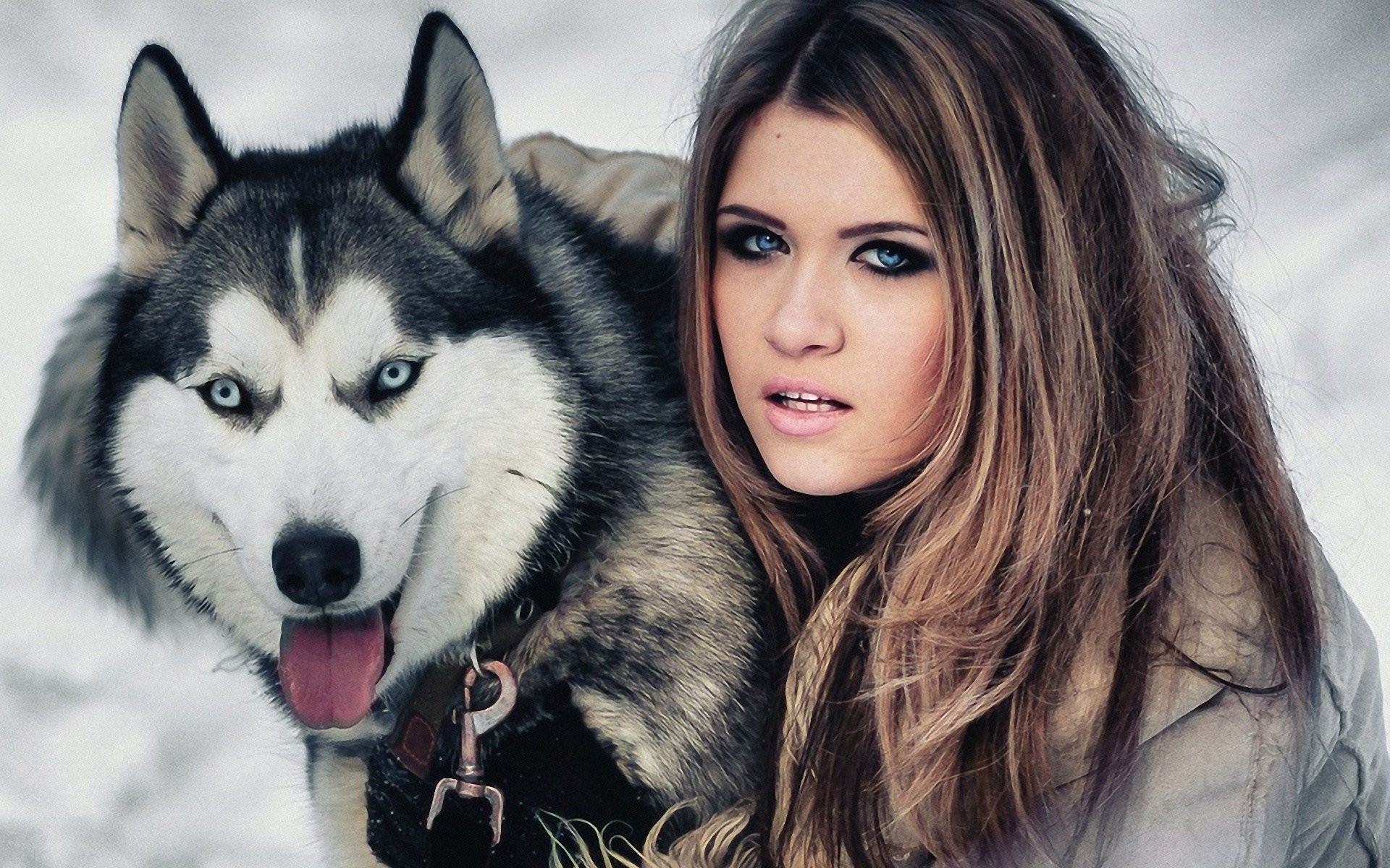 Husky Siberiano Con Modelo - HD Wallpaper 