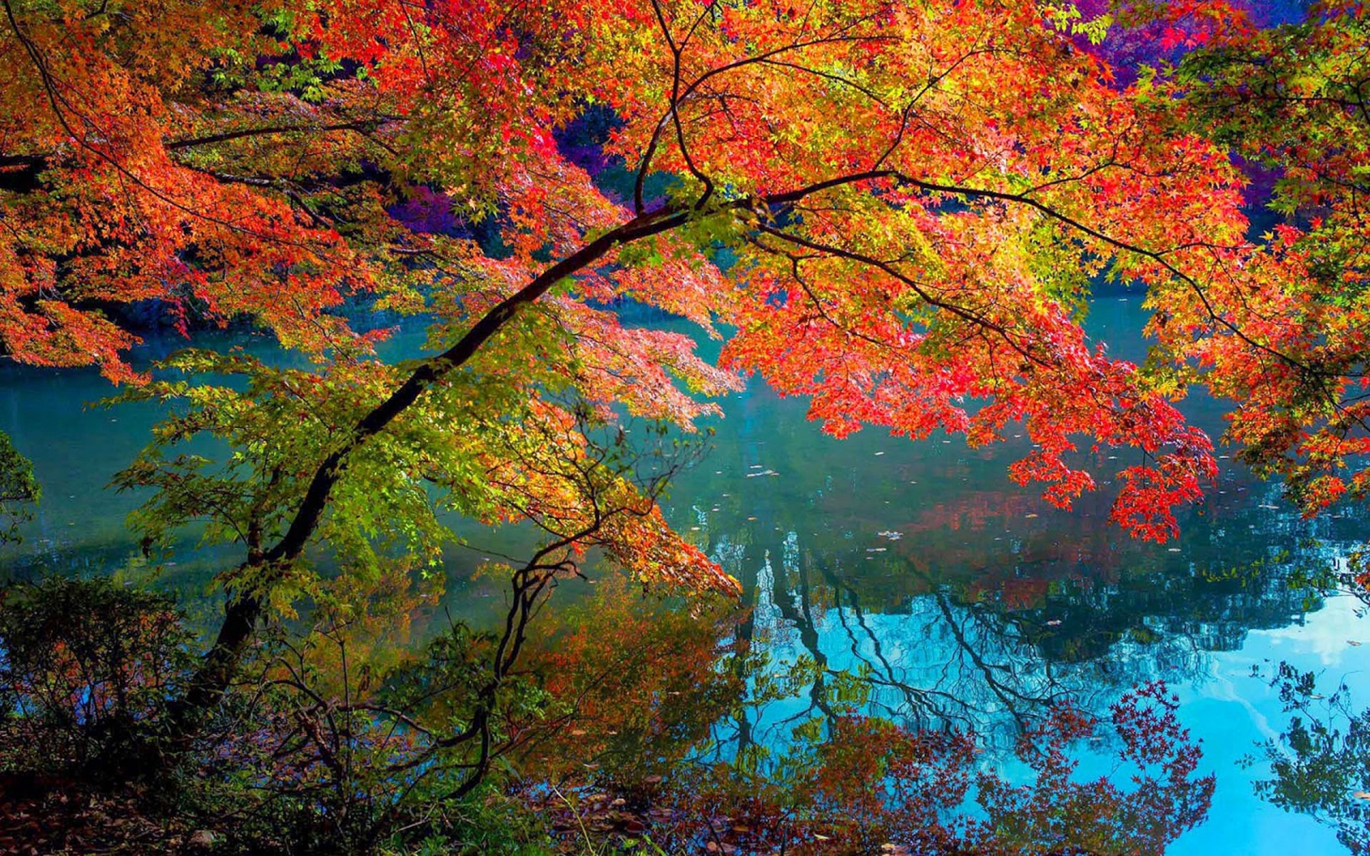 Schöne Herbstbilder Als Hintergrund - HD Wallpaper 