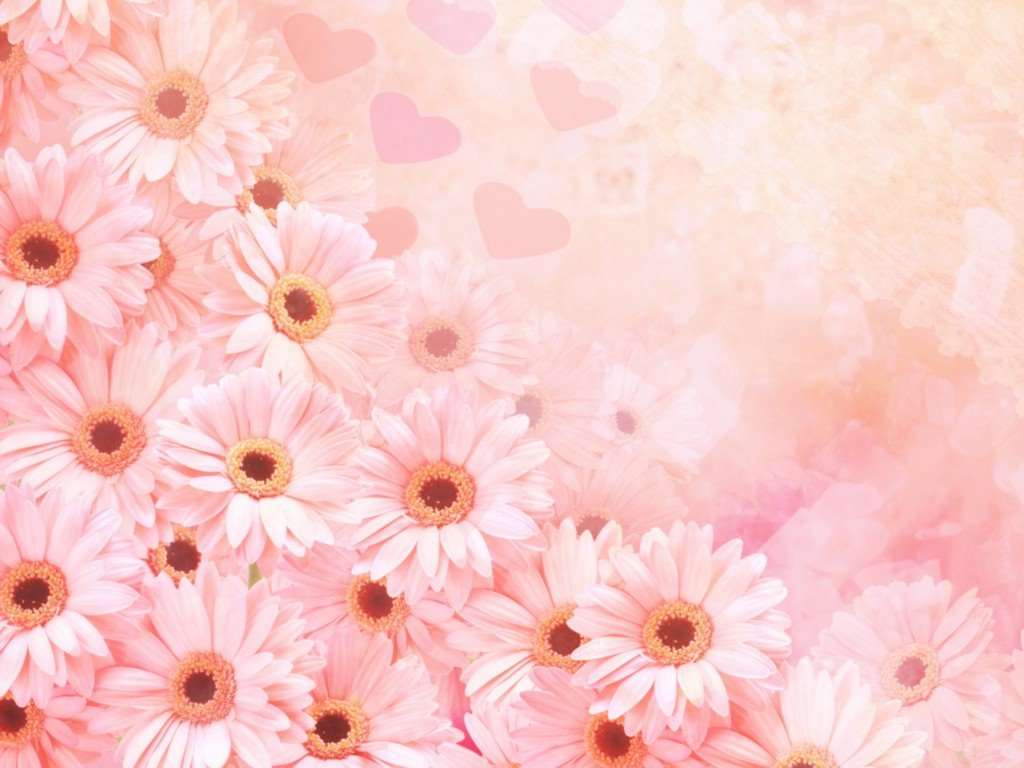 Cute Pink Flower Template Backgrounds Cute Flower Powerpoint Background 1024x768 Wallpaper Teahub Io