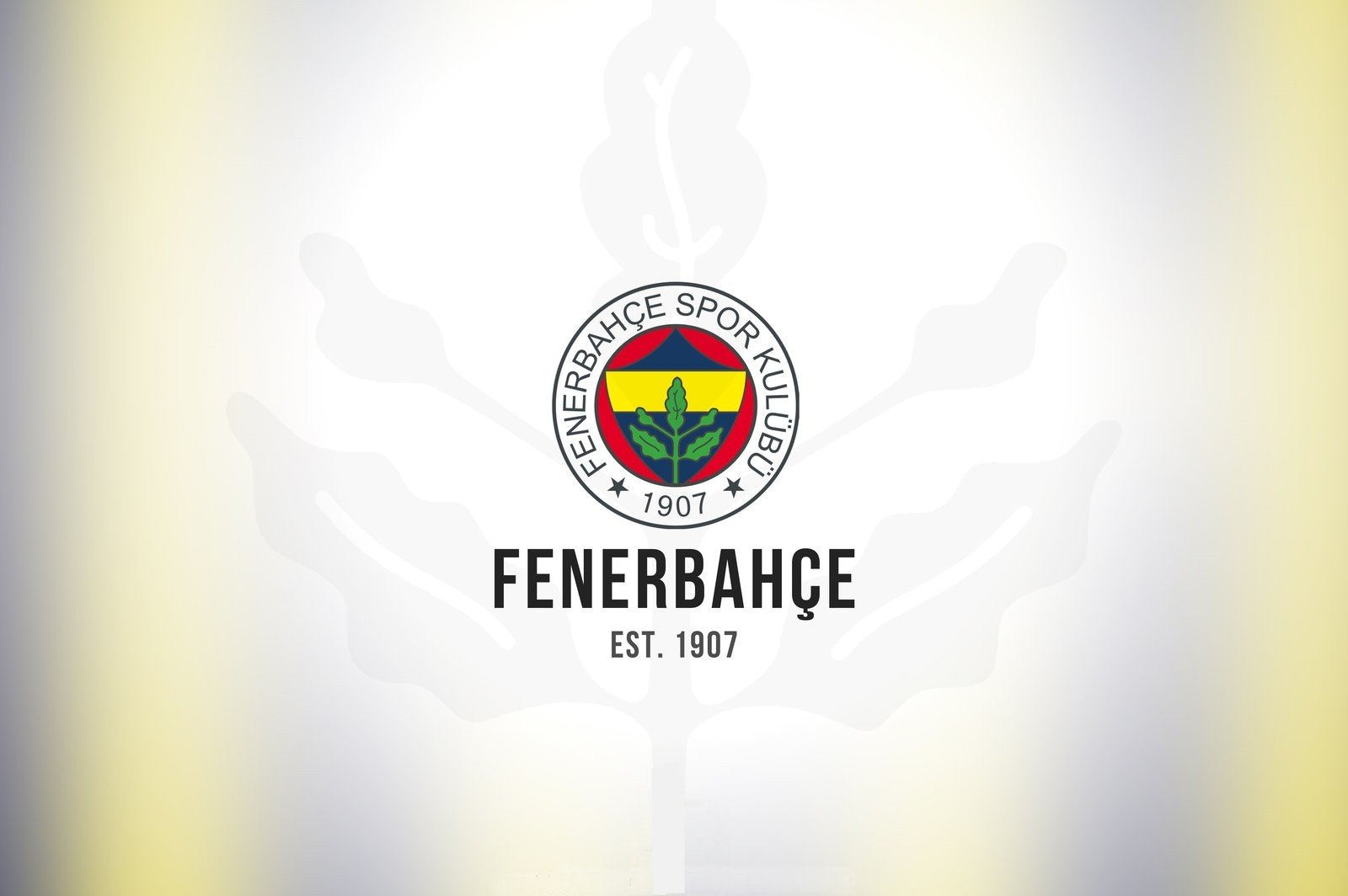 Fenerbahçe Wallpaper 2016 - HD Wallpaper 