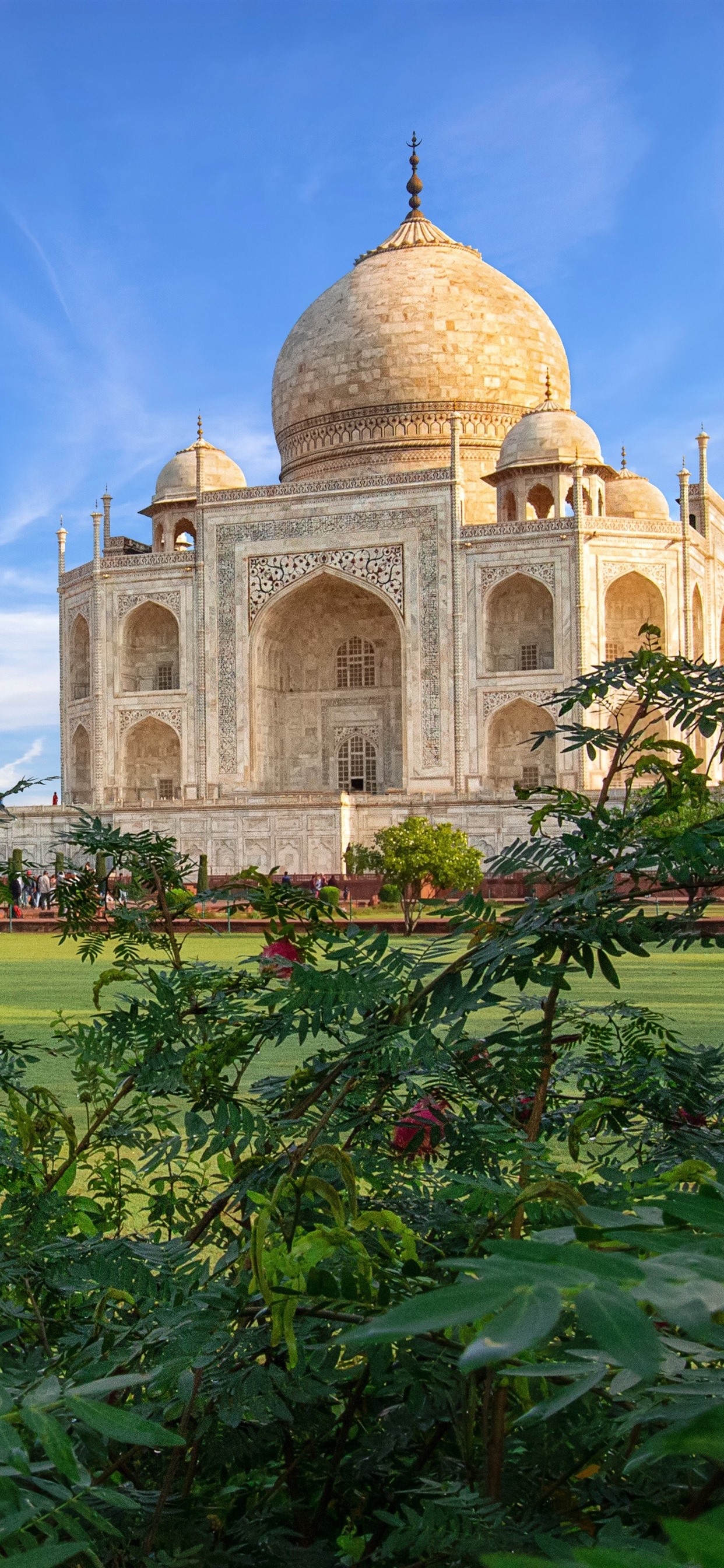Iphone Wallpaper India, Taj Mahal, Mosque, Bushes - Taj Mahal - 1242x2688  Wallpaper 