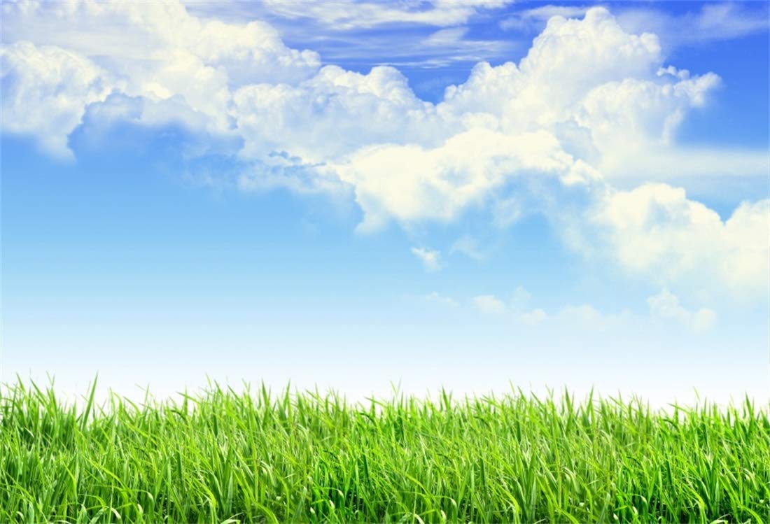 Sky And Land Background - 1100x749 Wallpaper 
