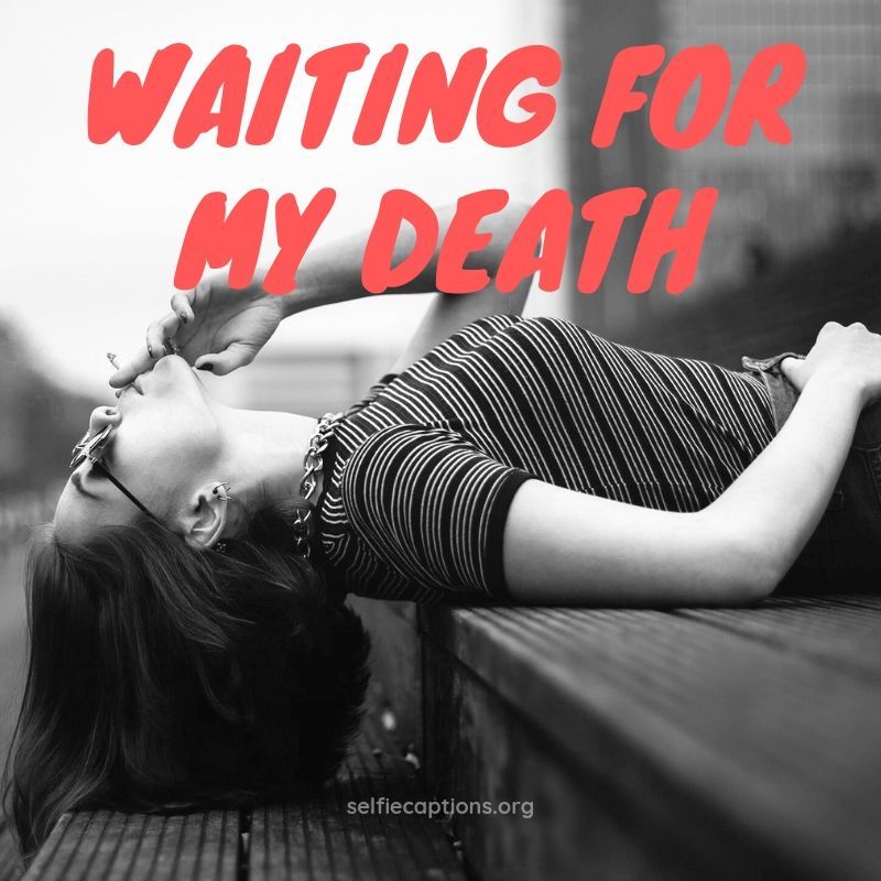 Im Waiting For My Death Dp 800x800 Wallpaper Teahub io