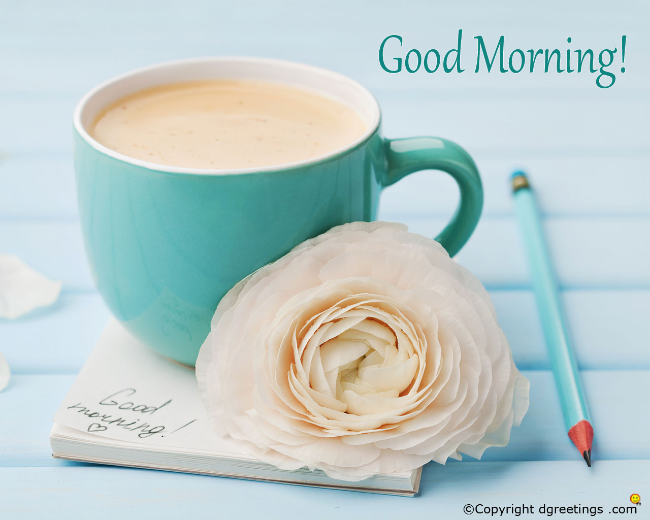 Good Morning Wallpaper Flower - HD Wallpaper 