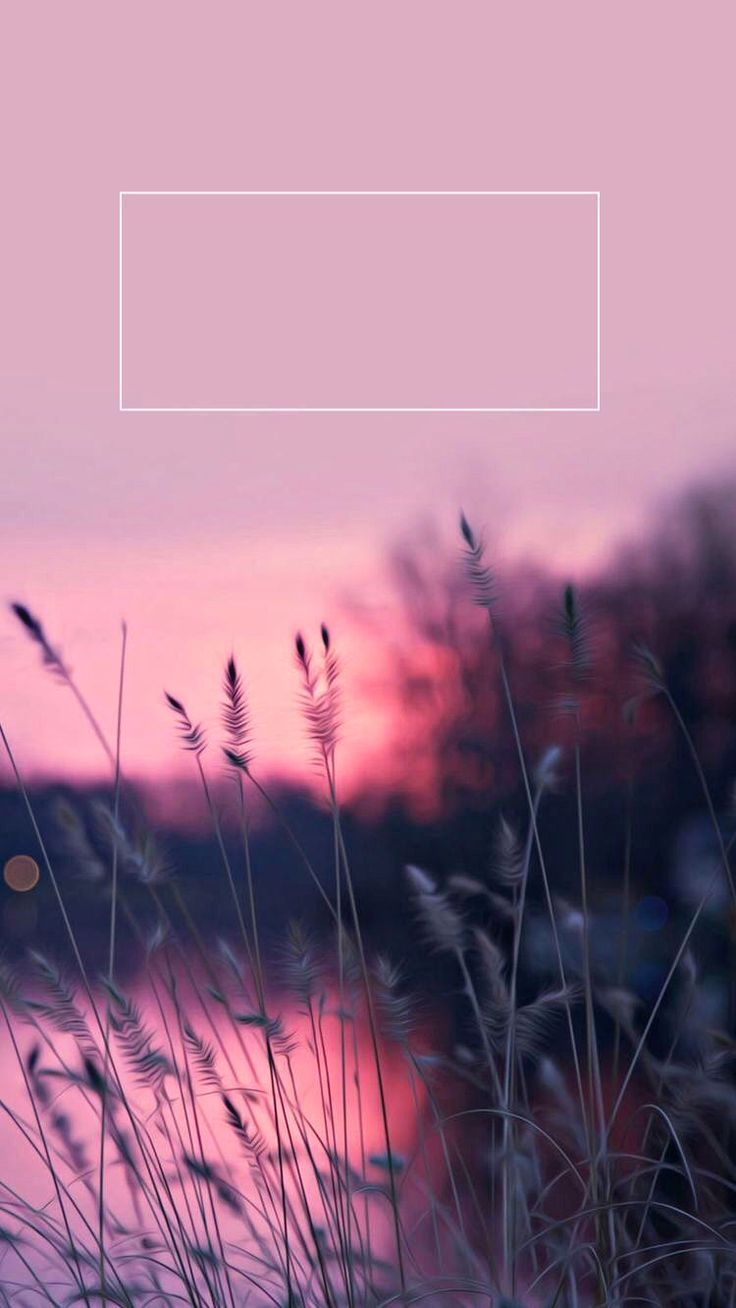 Pink Nature - HD Wallpaper 