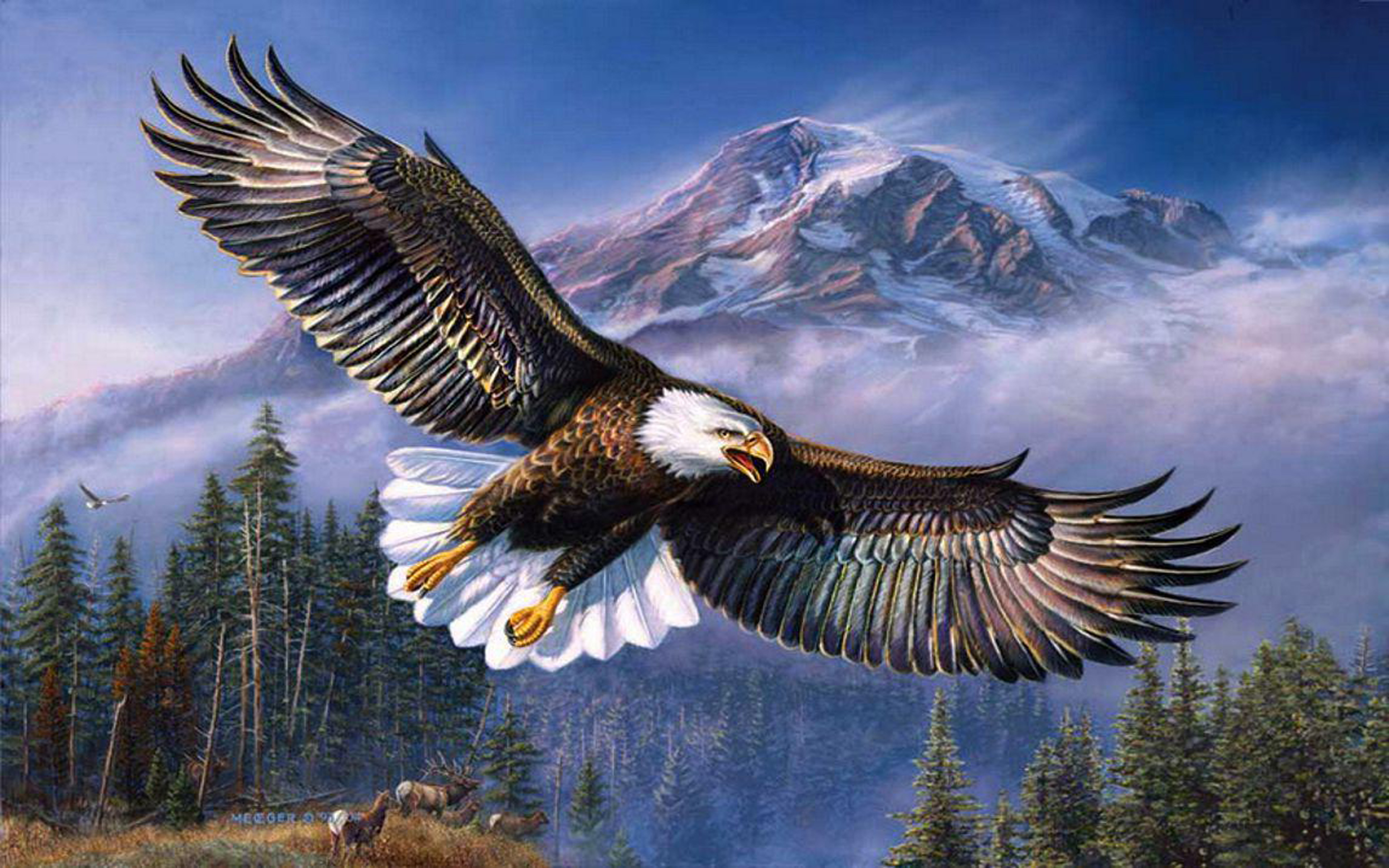 Eagle Background - 3840x2400 Wallpaper 
