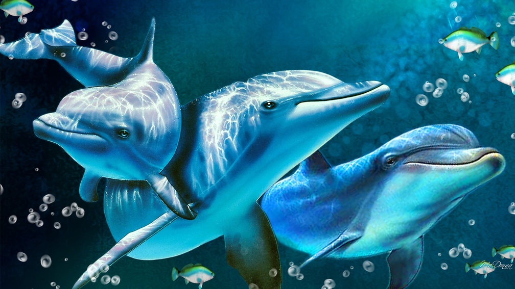 Dolphins Hd - HD Wallpaper 