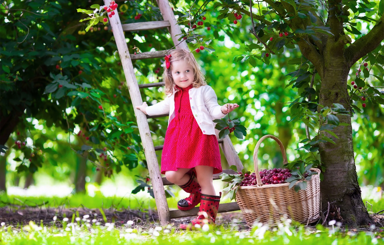 Photo Wallpaper Summer, Cherry, Mood, Child, Garden, - Girl Child In Garden - HD Wallpaper 