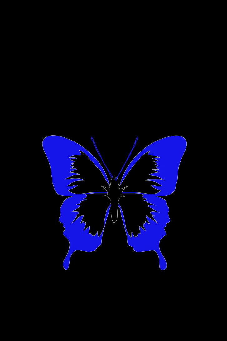 Butterfly, Minimalism, Black, Blue - Black Background - 728x1092 Wallpaper - teahub.io