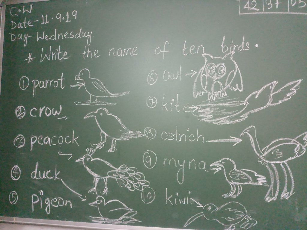 Birds Name With Picture By Sneha Sharma - Blackboard - HD Wallpaper 