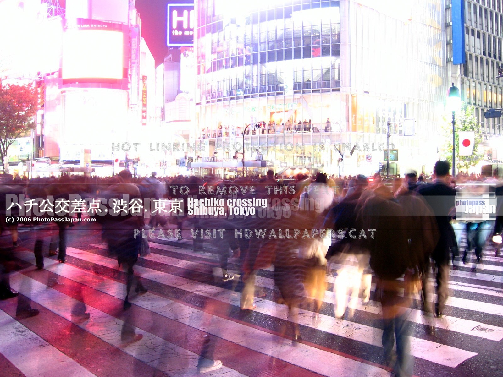 Shibuya Tokyo Japan Hachiko City Cross - Metropolitan Area - HD Wallpaper 