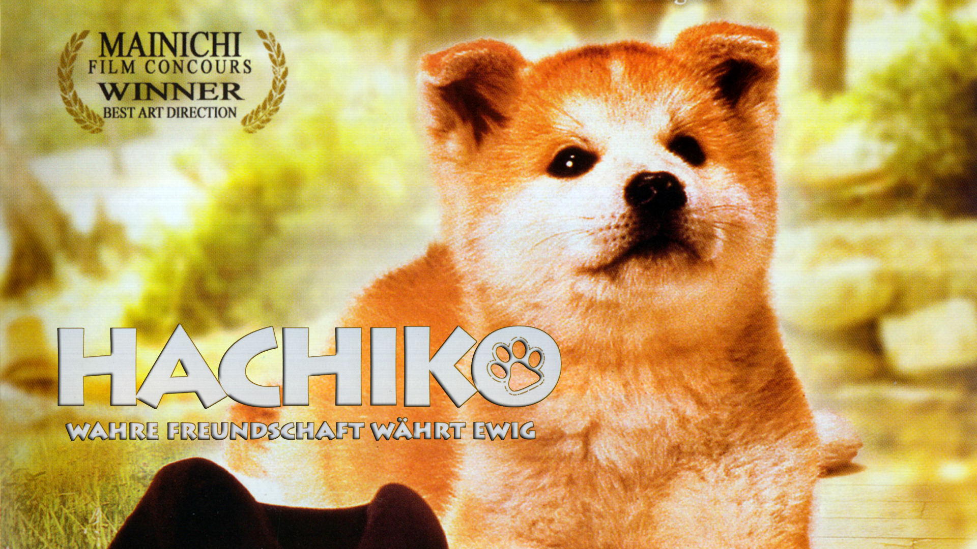 hachiko movie free download hd