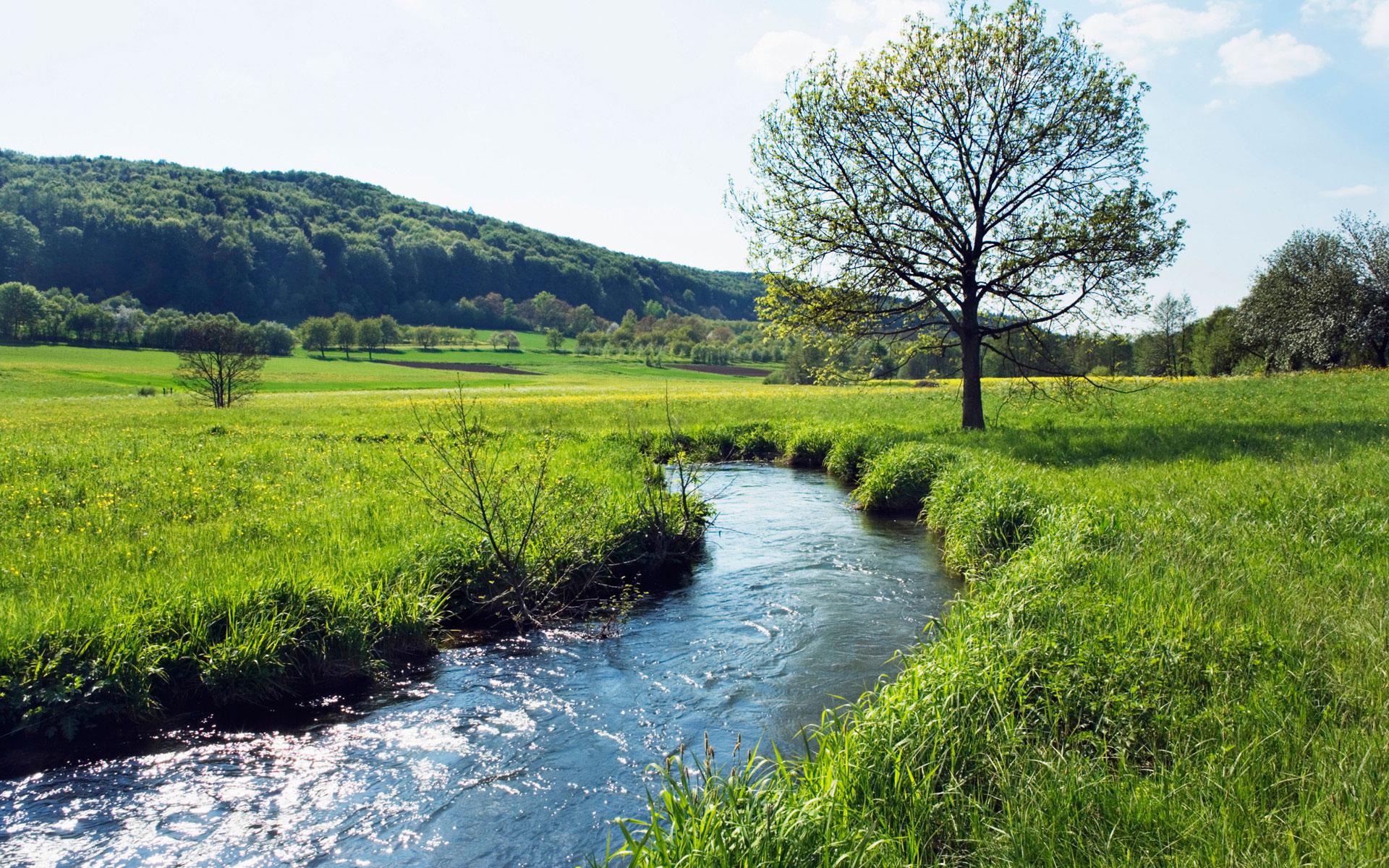 River In Field - HD Wallpaper 