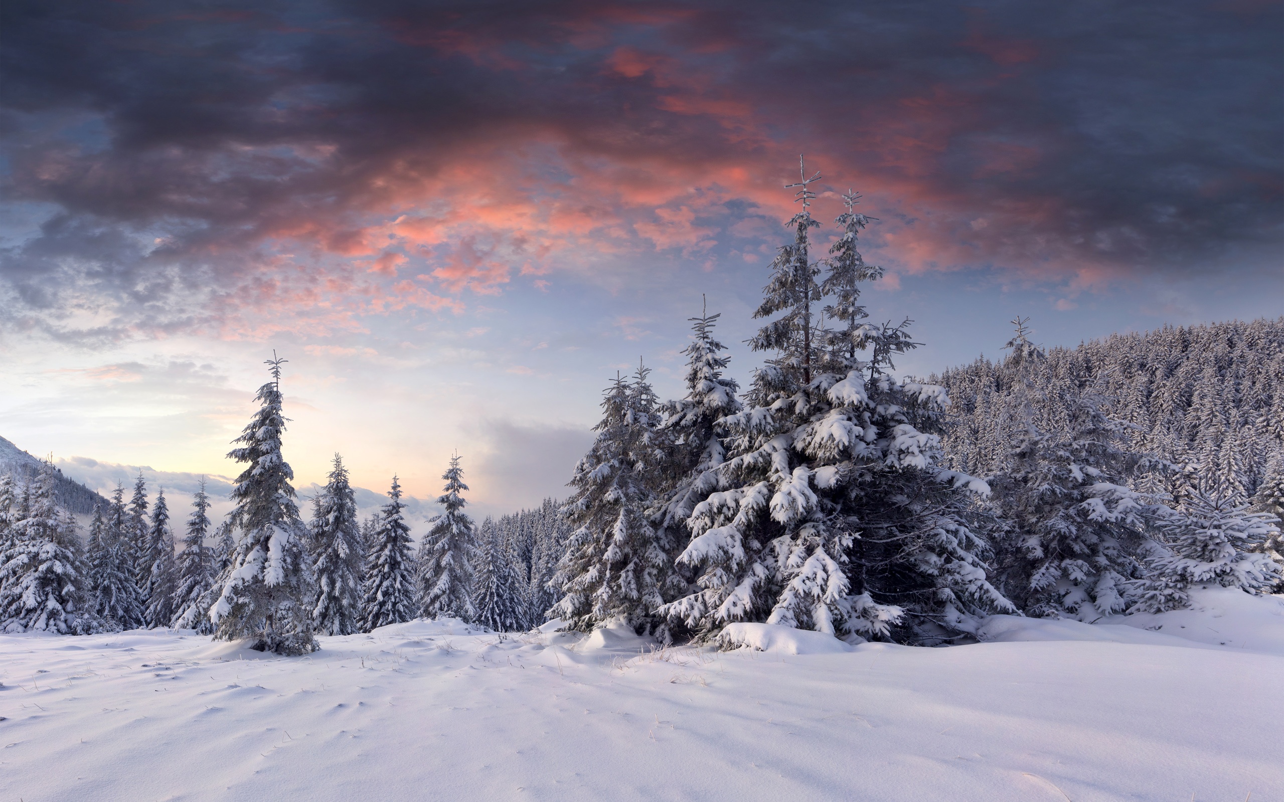Wallpaper Snow, Sunrise, Clouds, Winter, Trees, Forest - Winter Landscape Wallpaper 4k - HD Wallpaper 