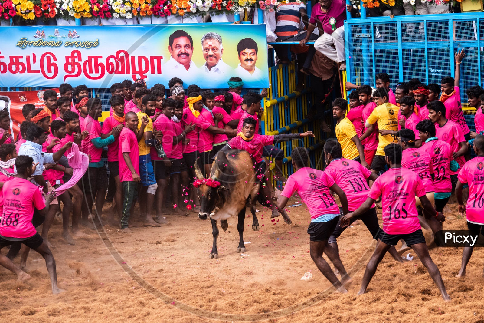 sports-of-tamil-nadu-1600x1067-wallpaper-teahub-io