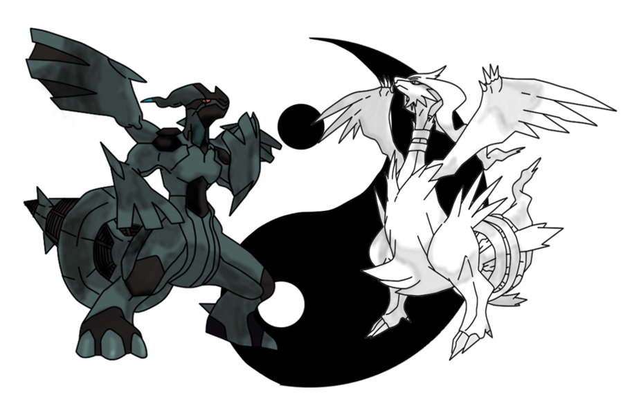 reshiram and zekrom wallpaper