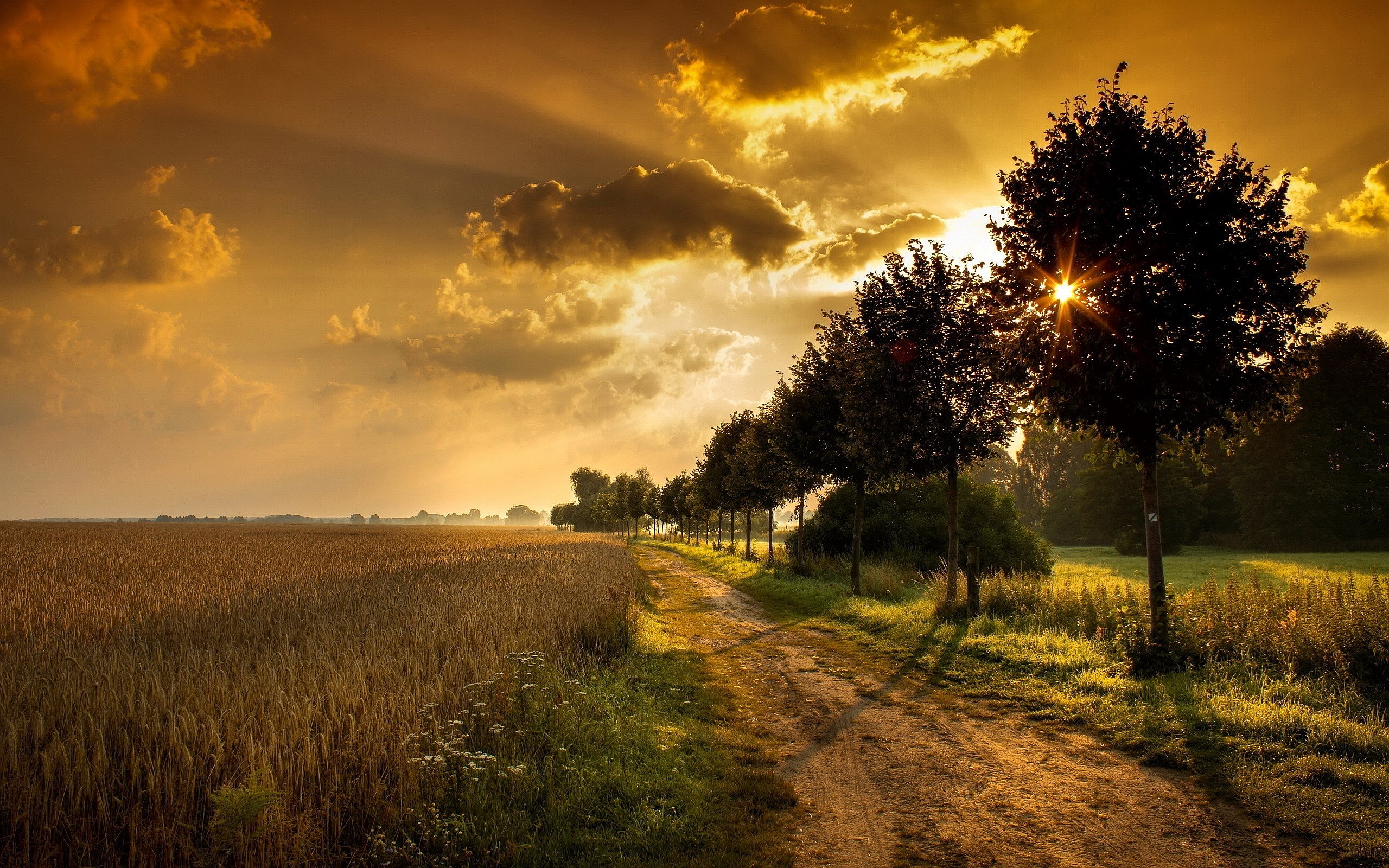 Sunset Countryside - HD Wallpaper 