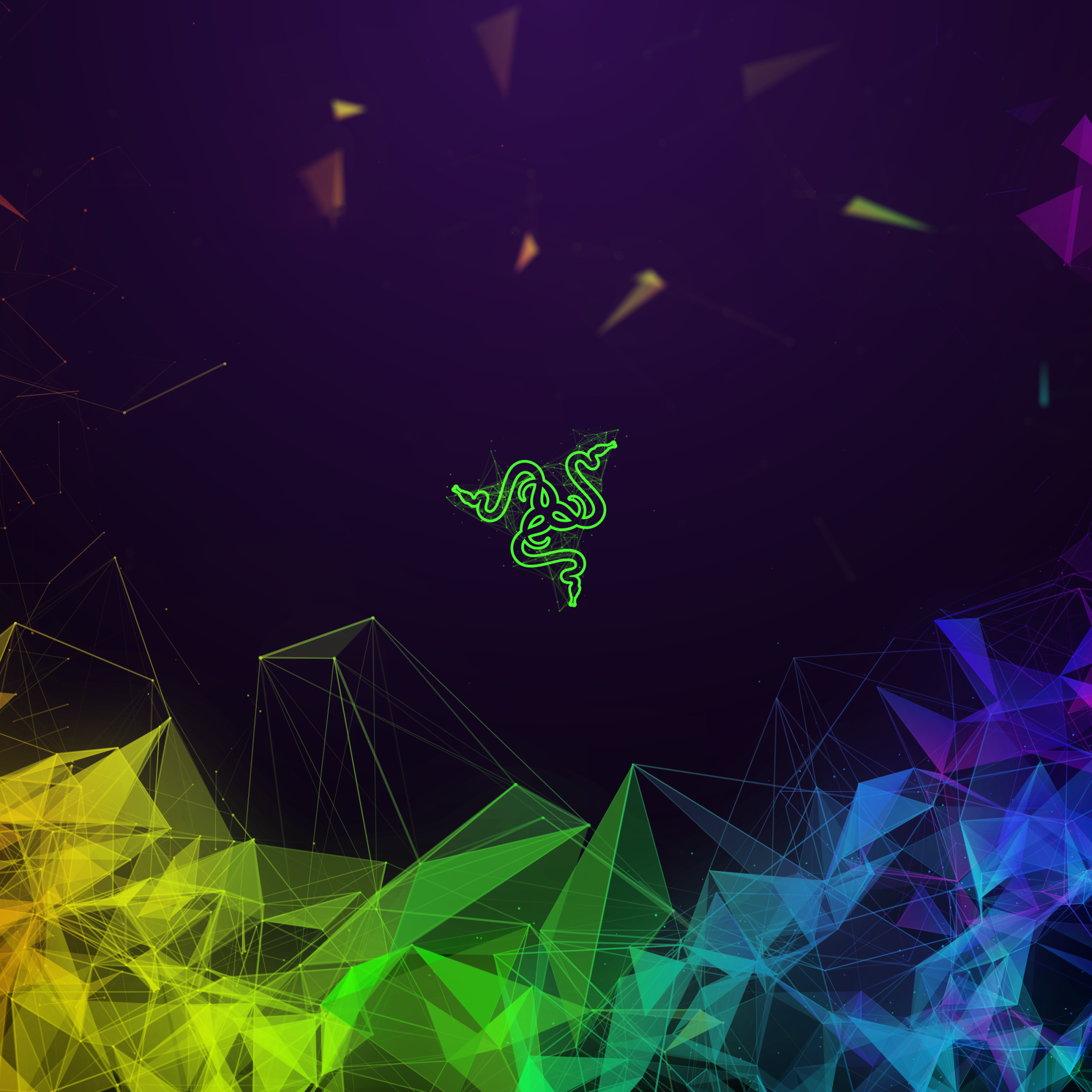 Razer Wallpaper 4k 2560x2560 Wallpaper Teahub Io