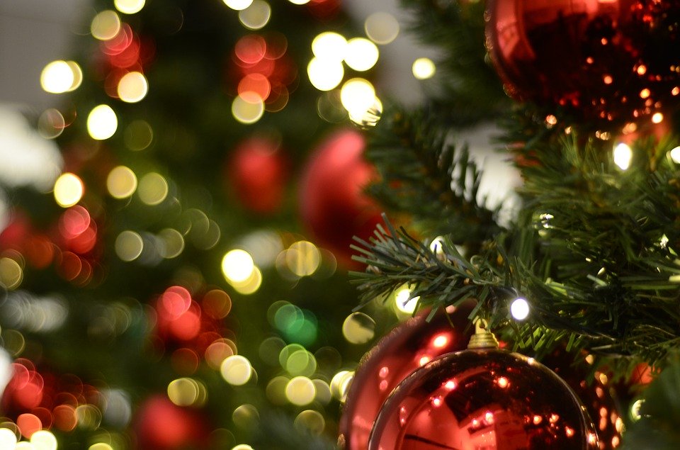 Christmas Tree Background Bokeh - 960x635 Wallpaper - Teahub.io