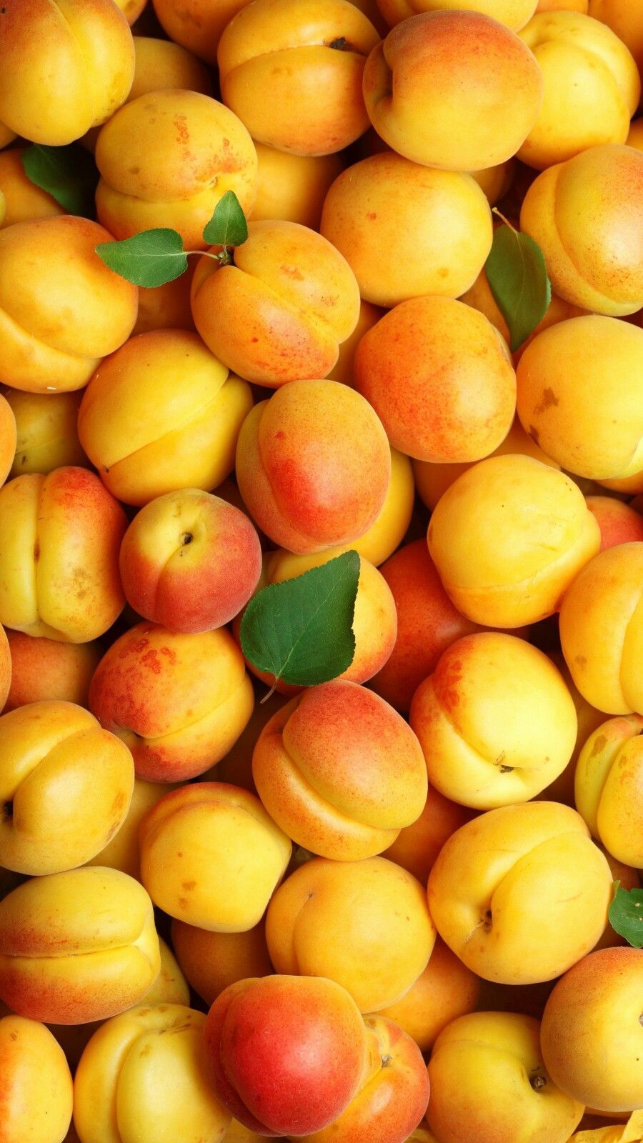 Frutas Amarelas - HD Wallpaper 