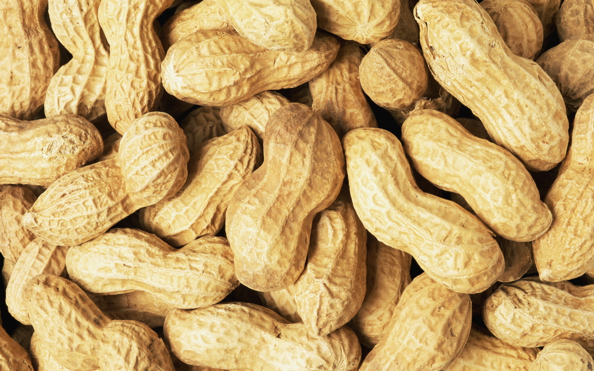 Food - Peanut Wallpaper - Peanut Hd - HD Wallpaper 