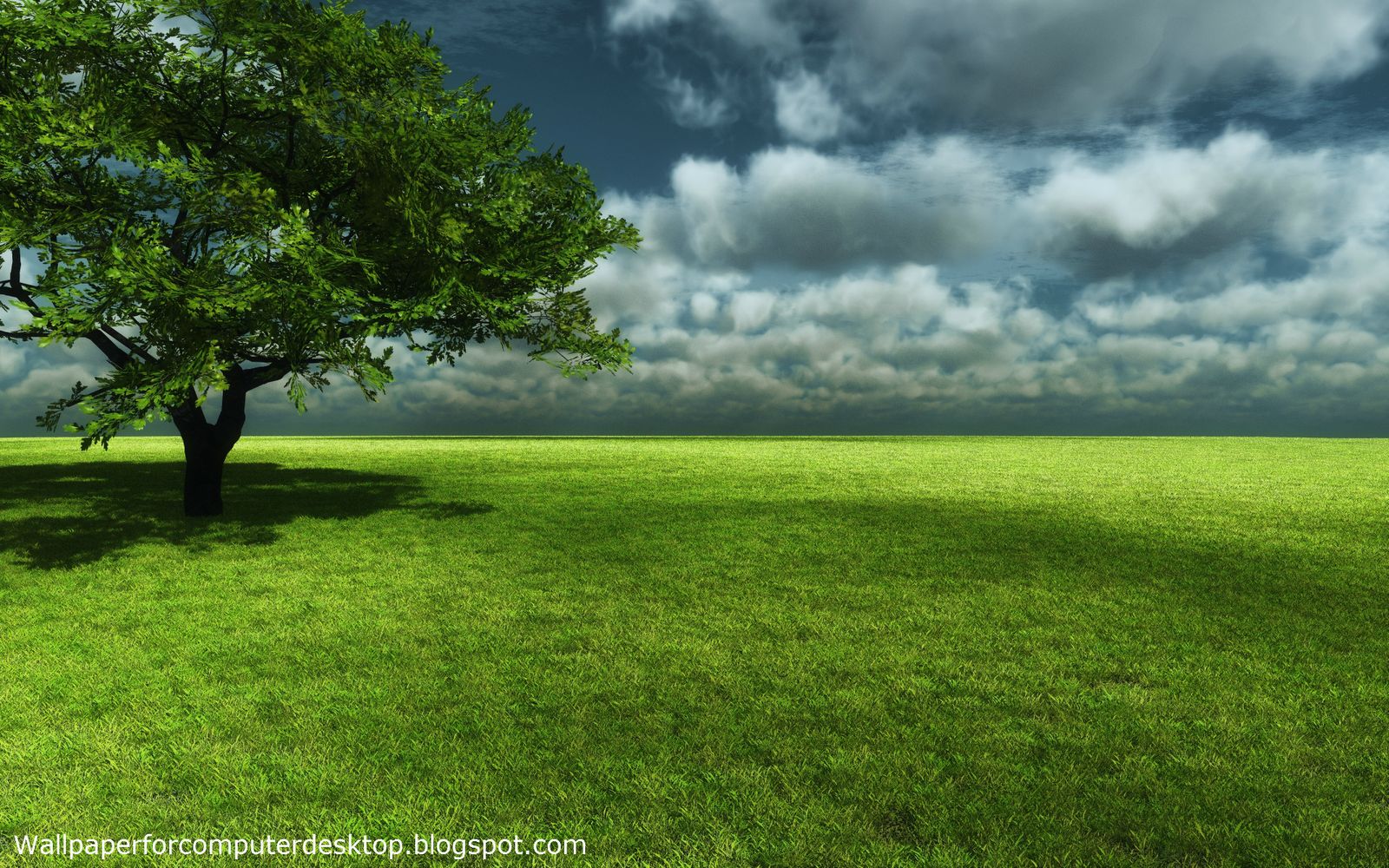 Hd Nature Landscape Wallpaper Desktop Awesome Wallpaper - Background  Landscape - 1600x1000 Wallpaper 
