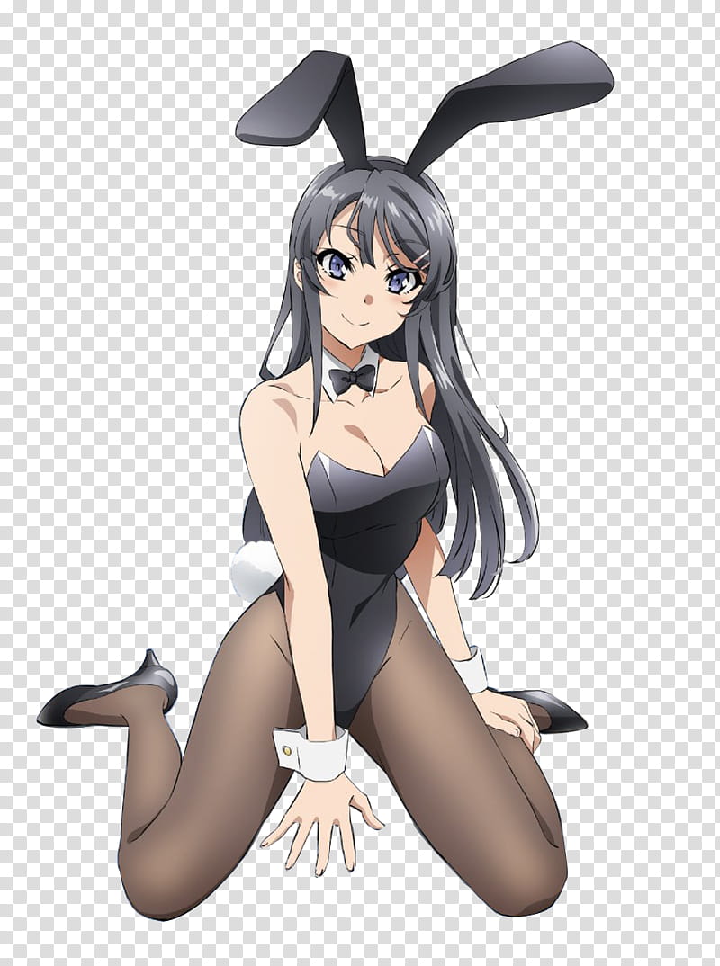 Seishun Buta Yarou Wa Bunny Girl Senpai No Yume Wo X Wallpaper Teahub Io